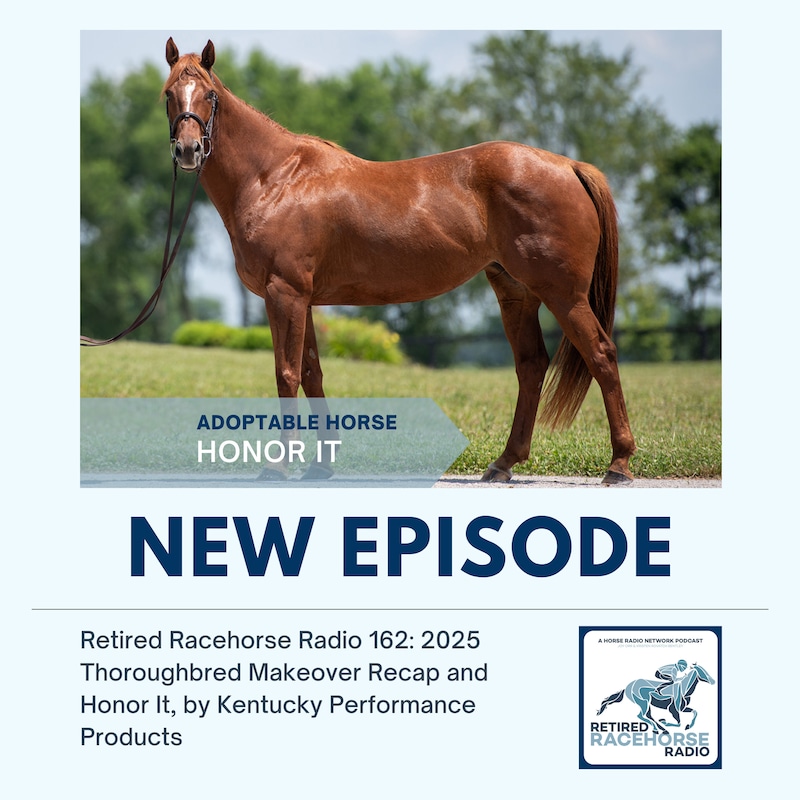 Artwork for podcast Retired Racehorse Radio