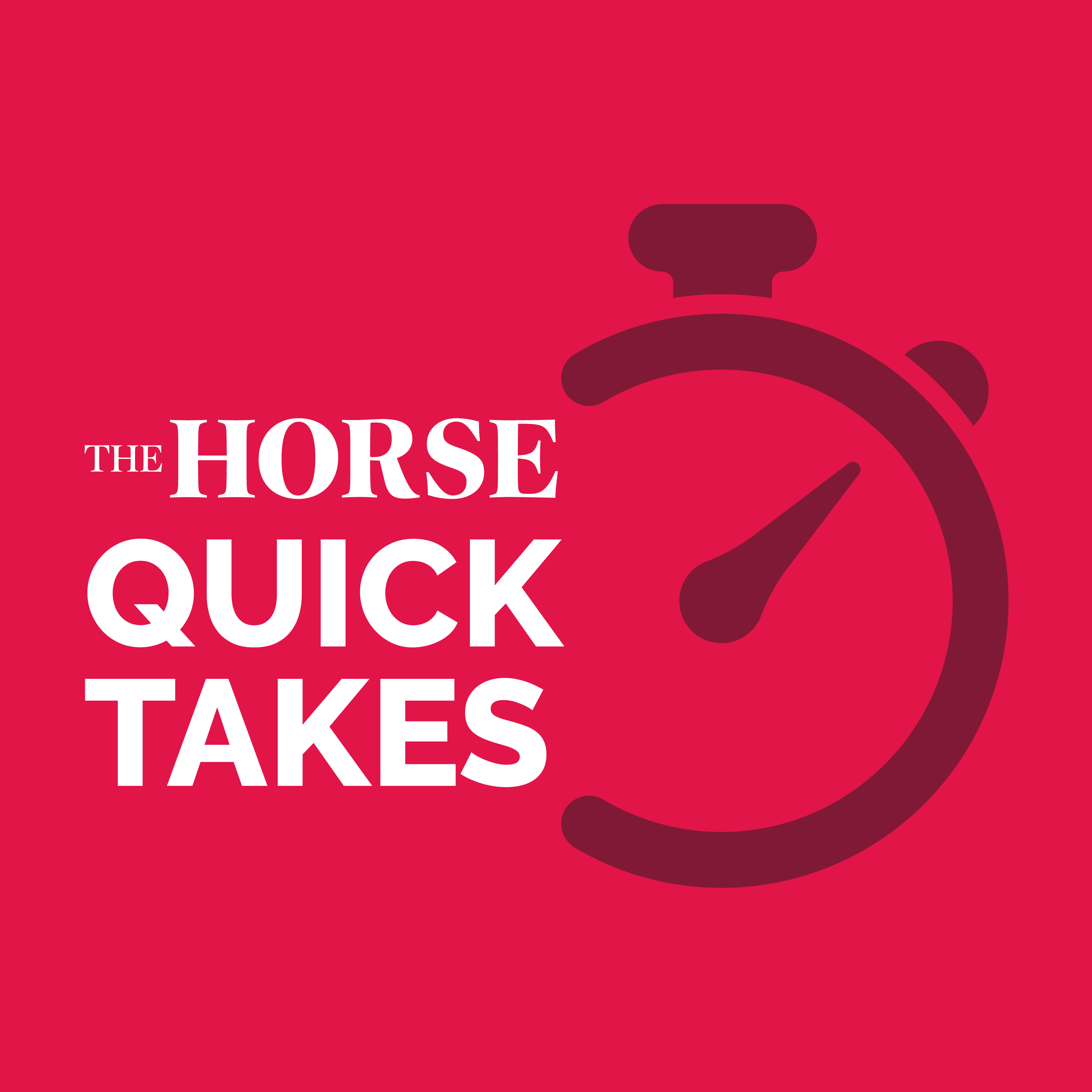 The Horse Quick Takes - Signs of Hindgut Problems in Horses - Ask The Horse episode artwork