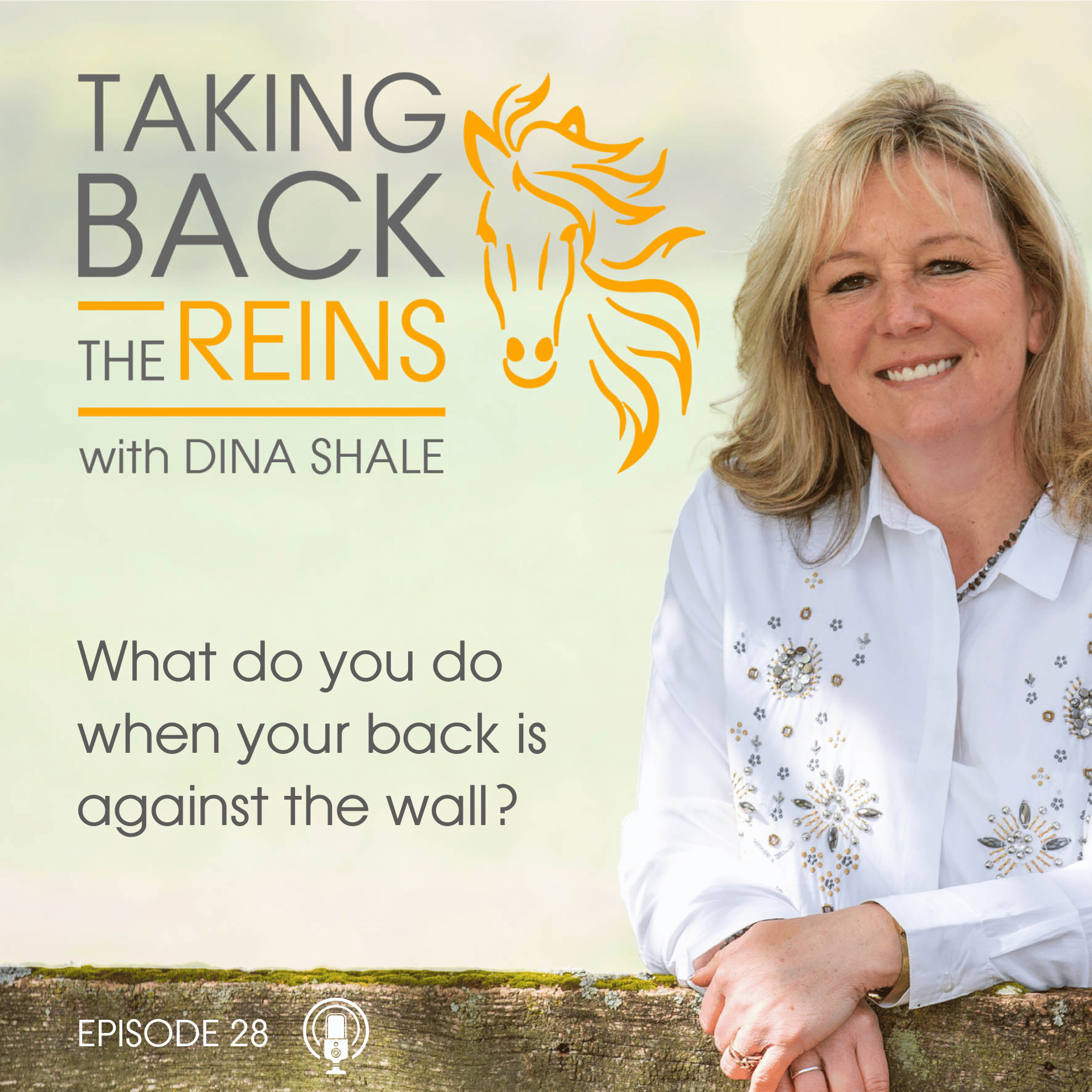 028 What do you do when your back is against the wall? episode artwork