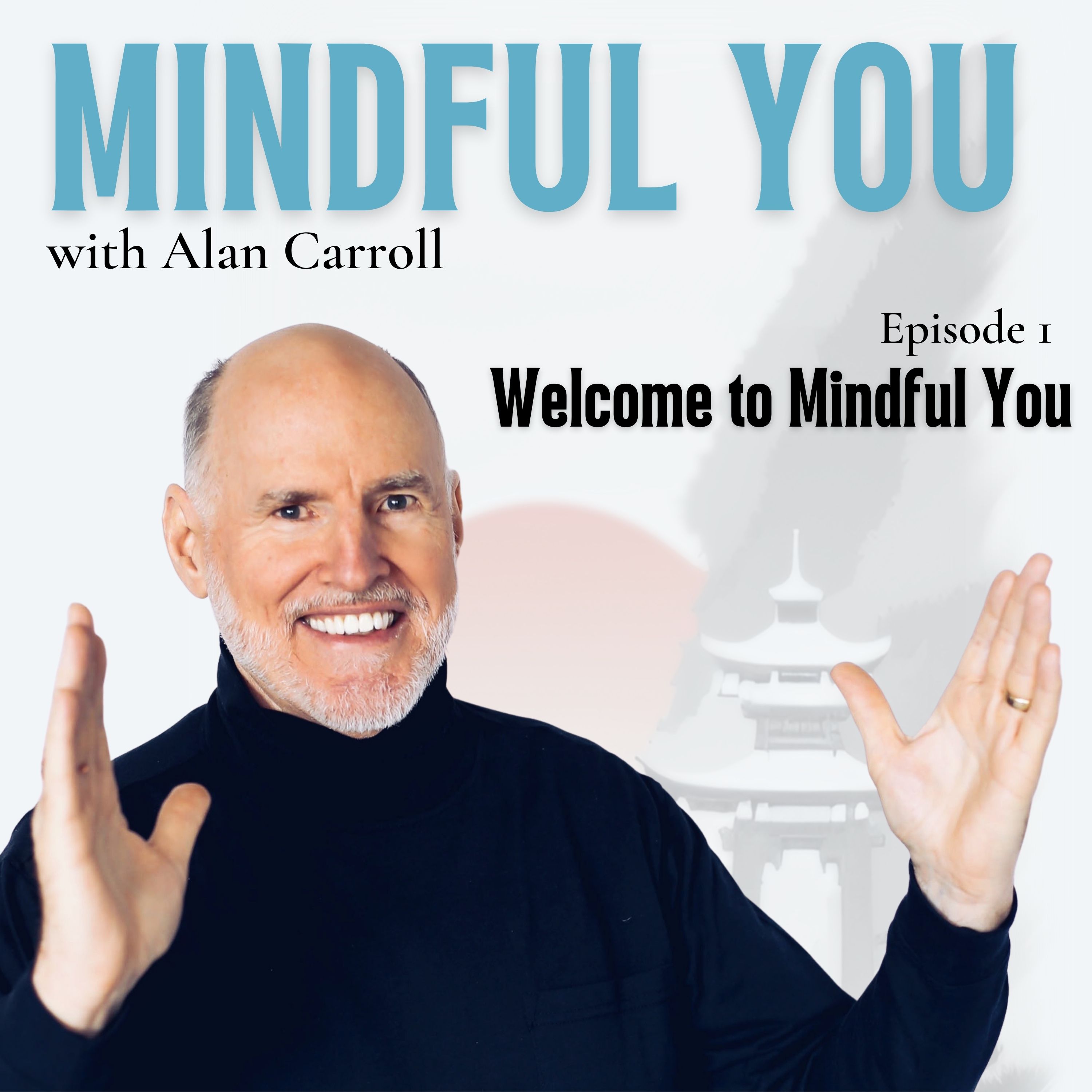 Artwork for podcast Mindful You