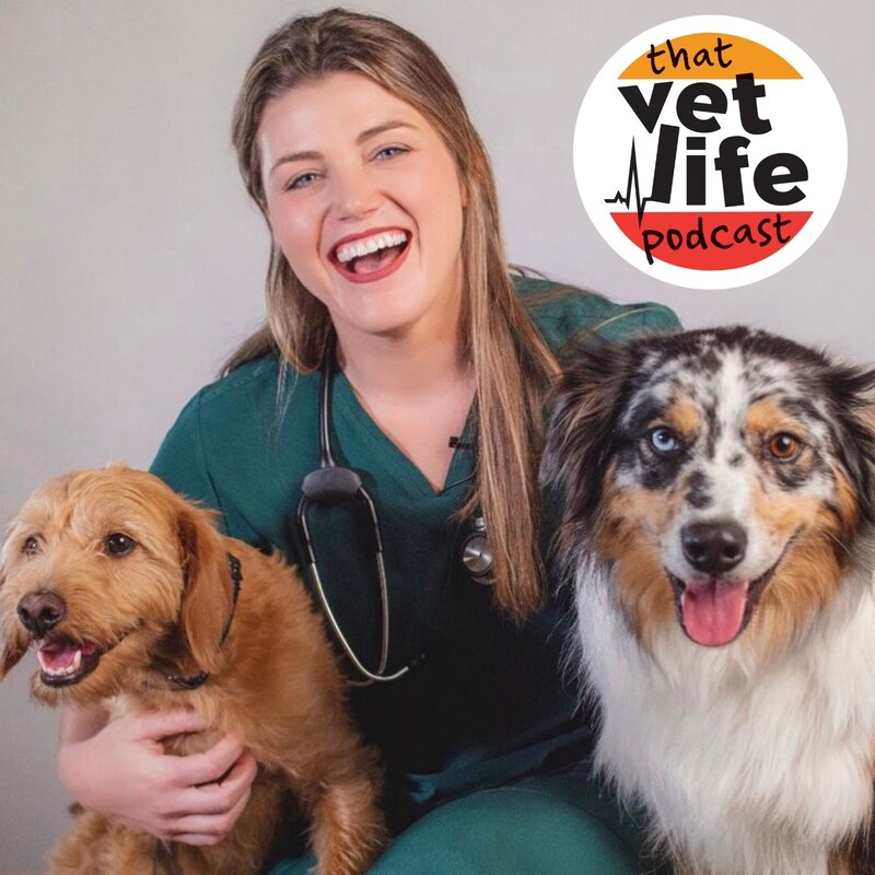 Artwork for podcast The 'So You're A Vet... Now What?' Podcast