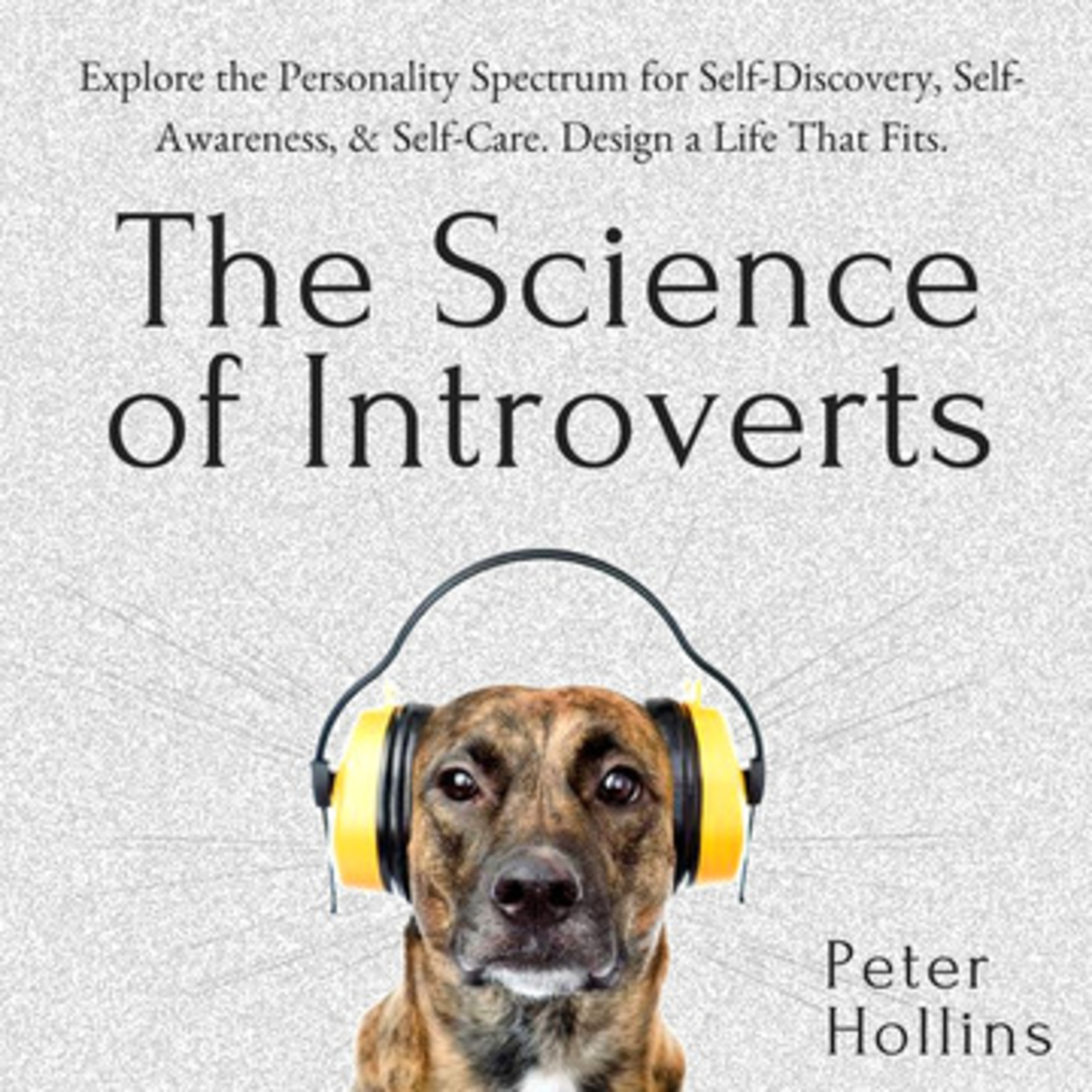 Are Introverts Destined to Be Less Happy? Could Extroverts' Happiness Be Just a Facade?
