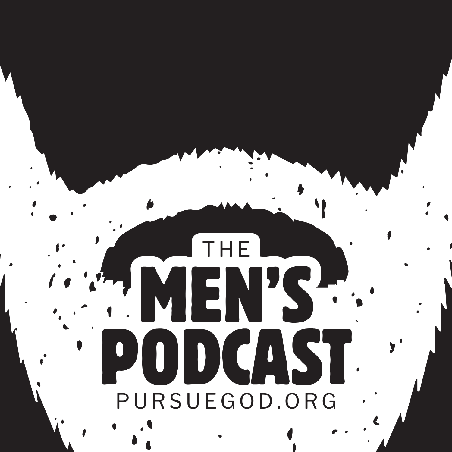 Artwork for The Men's Podcast