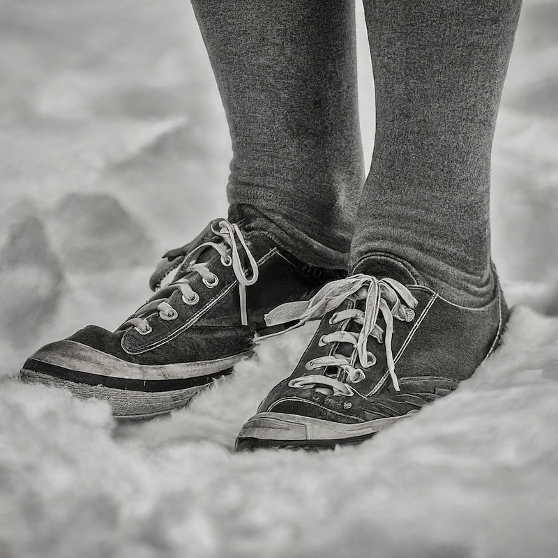 Artwork for podcast Pigskin Dispatch