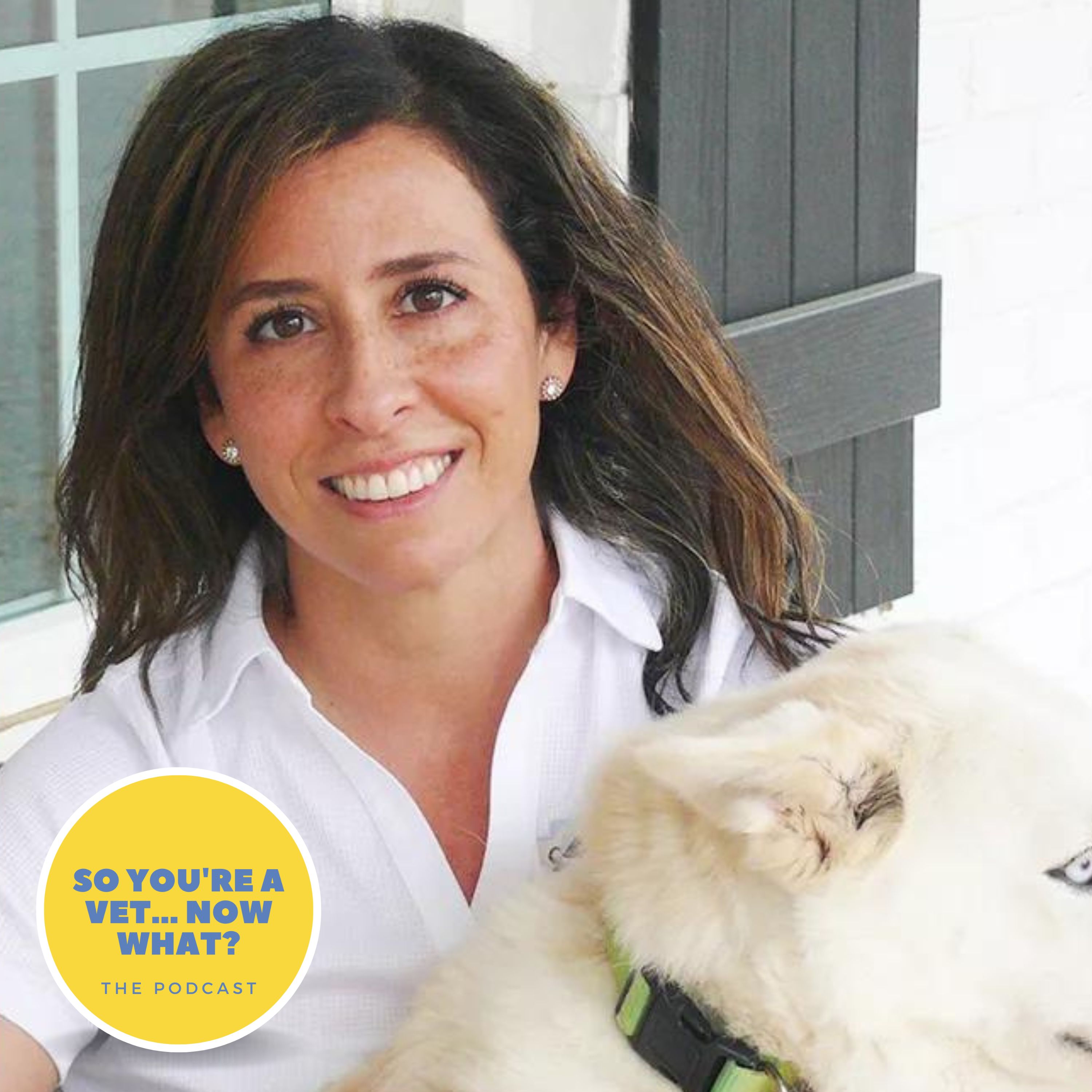 The \'So You\'re A Vet... Now What?\' Podcast
