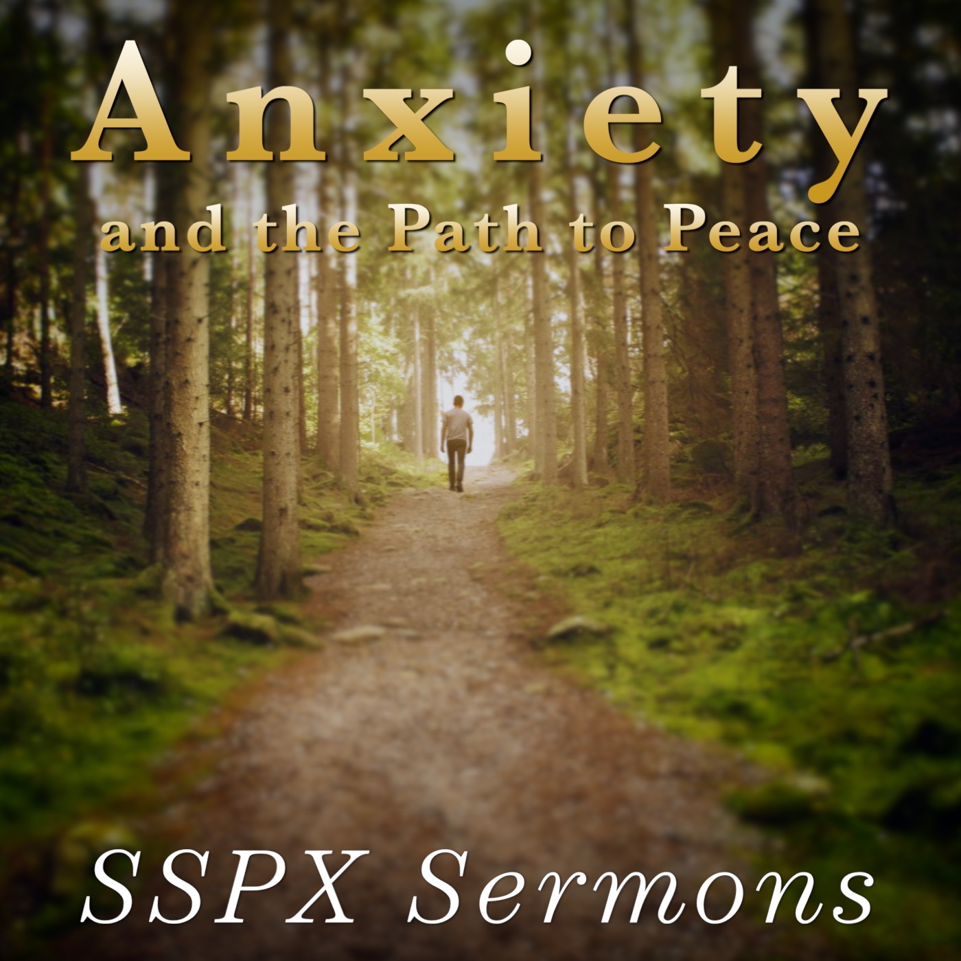 Anxiety and the Path to Peace – SSPX Sermons