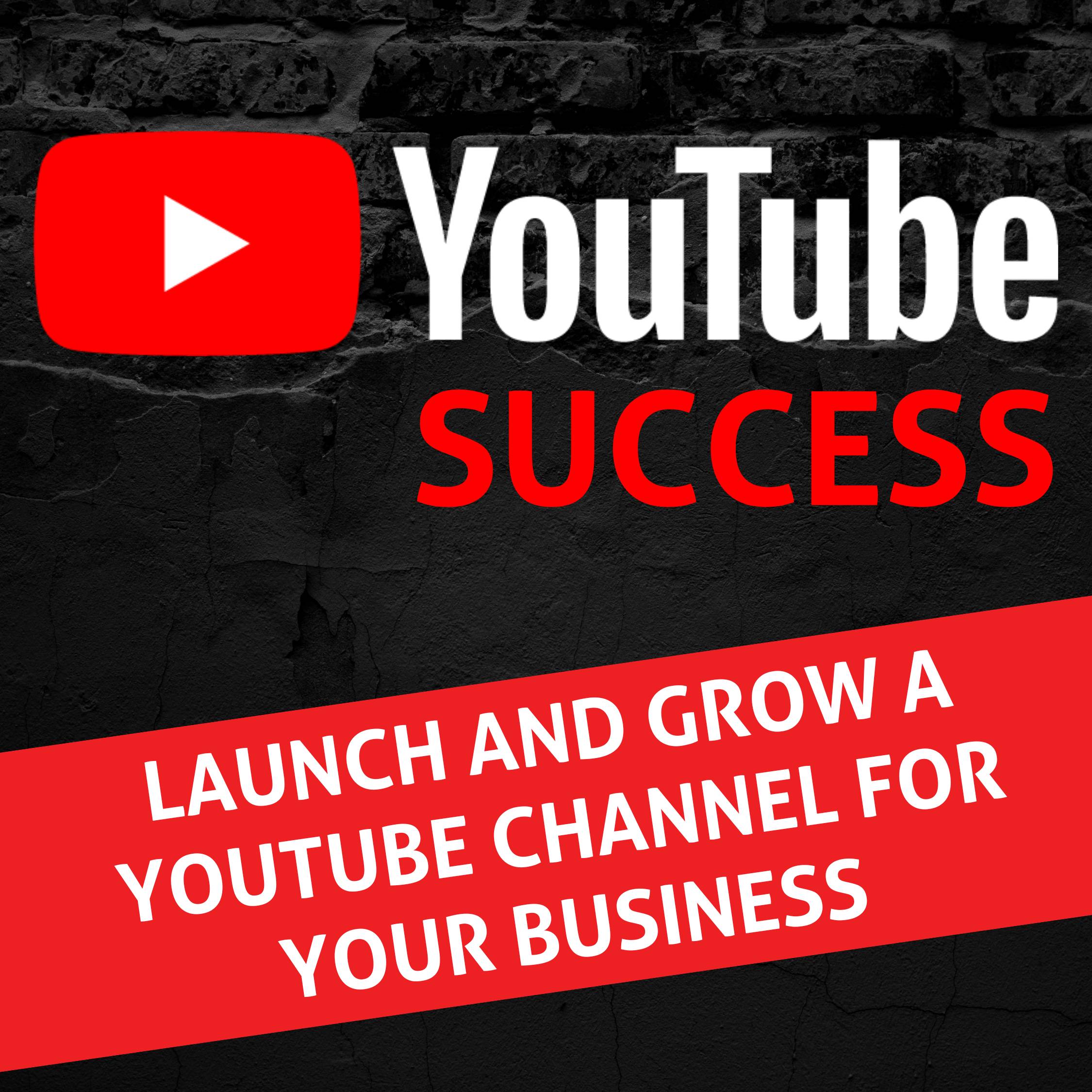 Show artwork for YouTube Success - YouTube for Business & YouTube Growth, Video Marketing