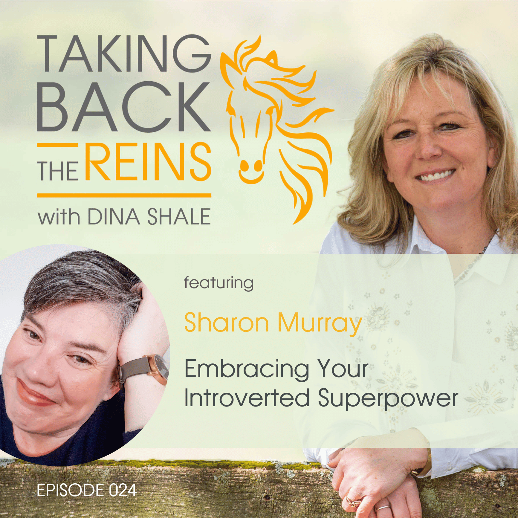024 Embracing Your Introverted Superpower | Sharon Murray LinkedIn Brand Builder episode artwork