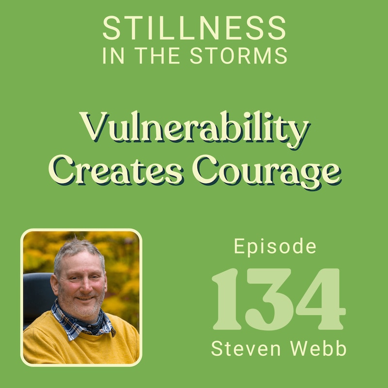 Artwork for podcast Stillness in the Storms