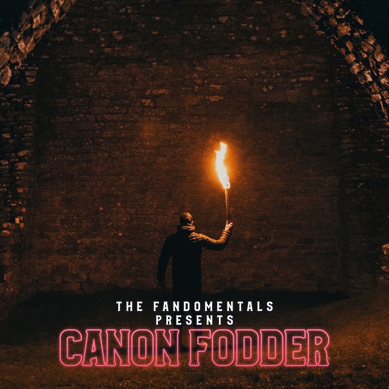 Artwork for podcast Canon Fodder