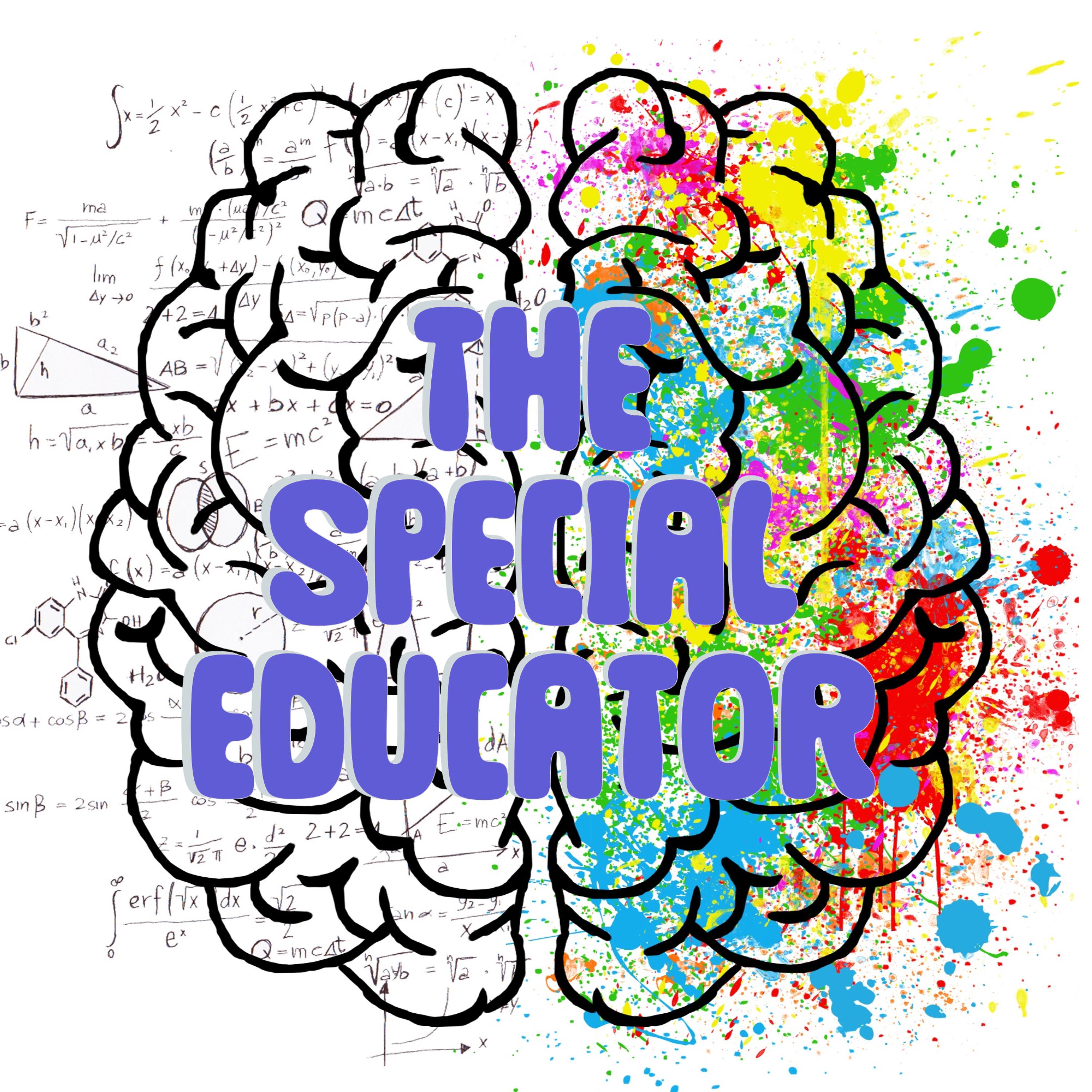 The Special Educator