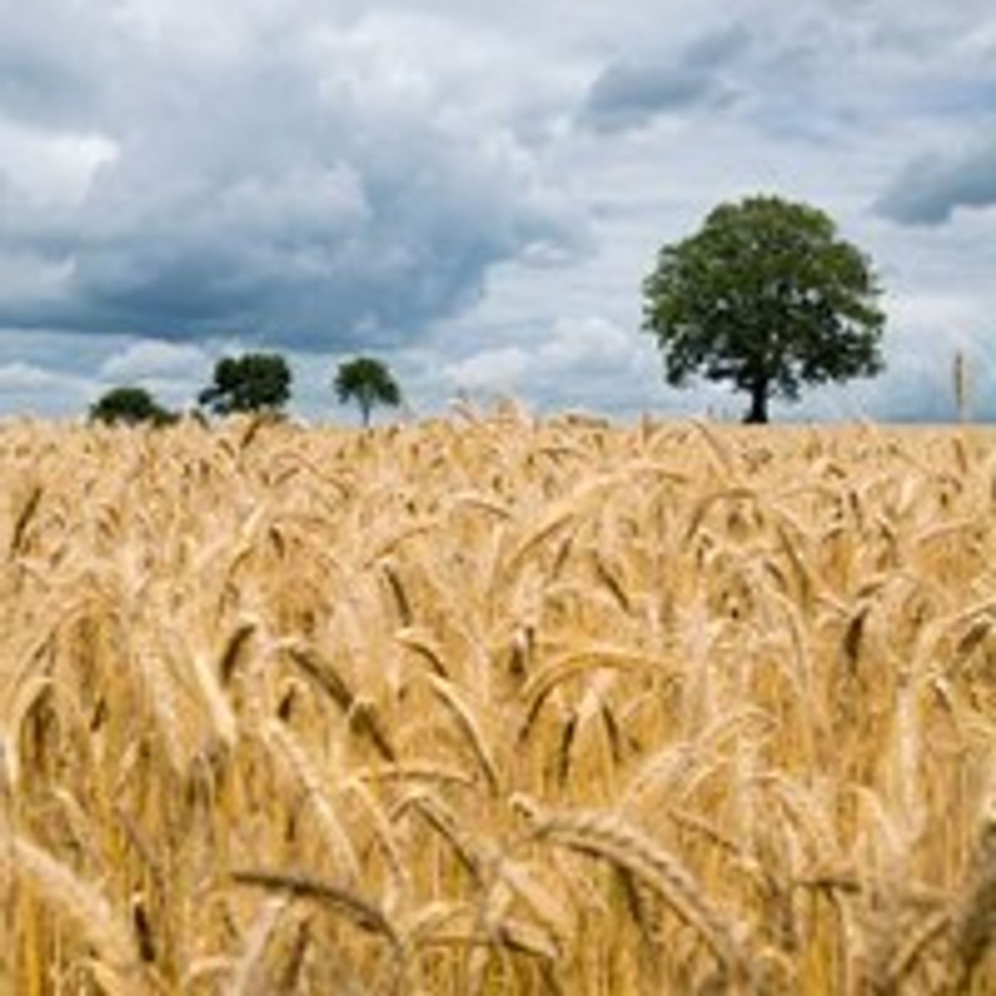 AHDB Food & Farming
