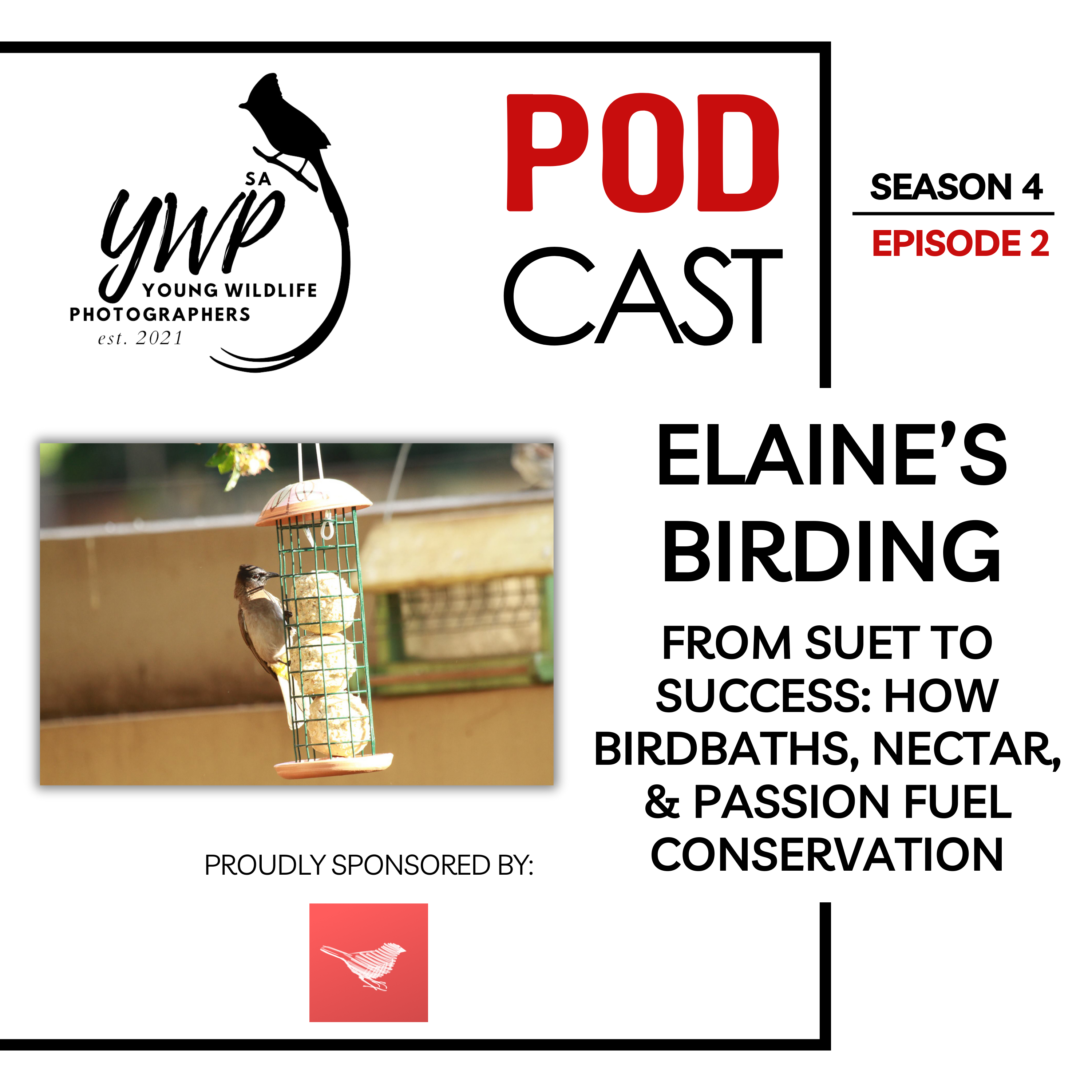 YWP Podcast - Season 4 Episode 2 - From suet to success, the Elaine’s Birding story
