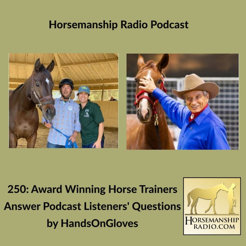 Artwork for podcast Horsemanship Radio