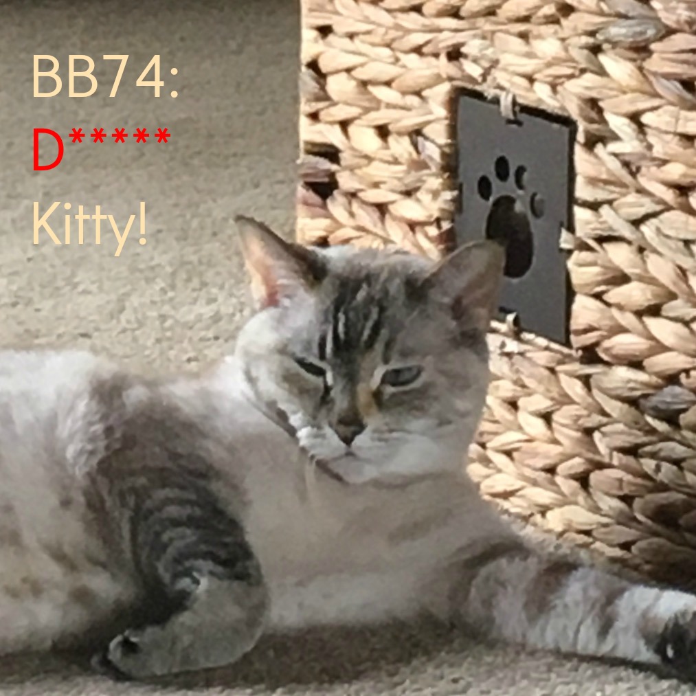74: D*****, Kitty! (A Story of Failure and Lessons Learned) episode artwork