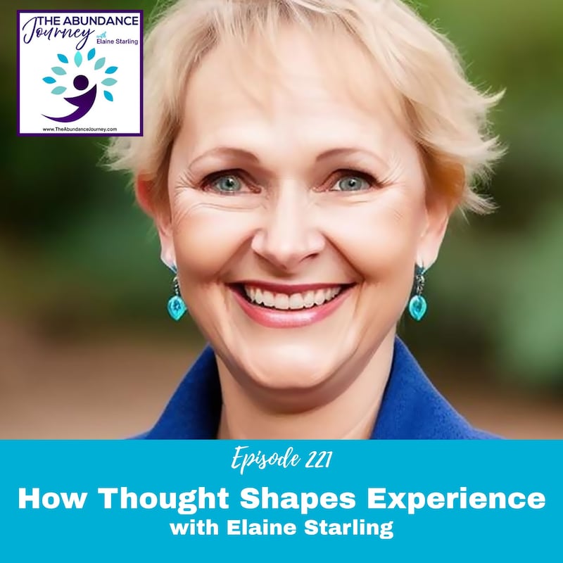Artwork for podcast The Abundance Journey: Accelerating Revenue With An Abundance Mindset