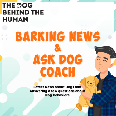 Ep 82: Barking News & Ask Dog Coach Edition Ep 82: Barking News & Ask Dog Coach Edition