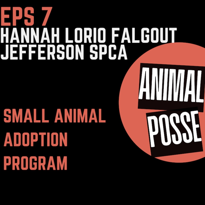 Artwork for podcast Animal Posse