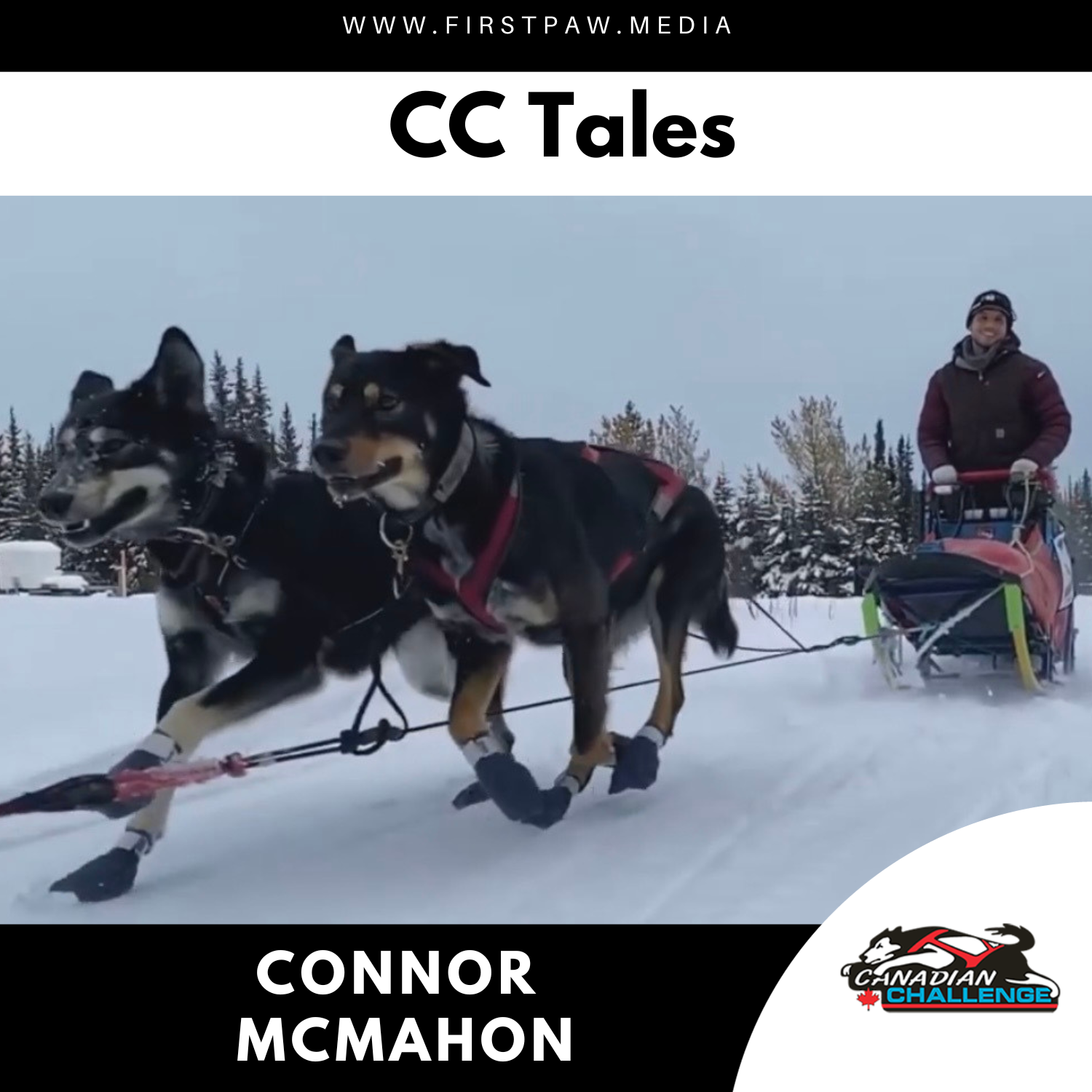 Iditarod 2024 Rookie Connor McMahon