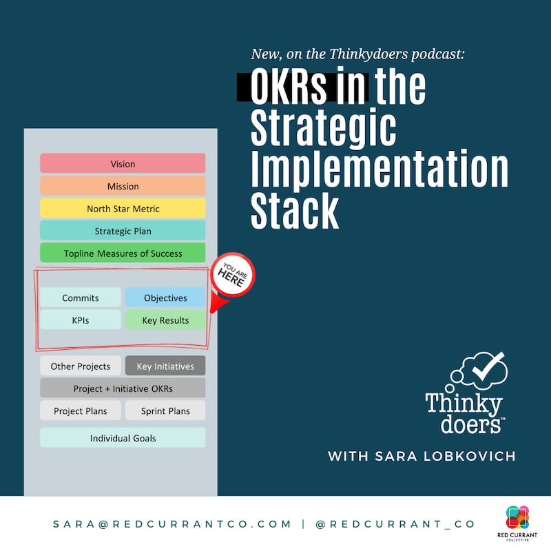 Artwork for podcast Thinkydoers®