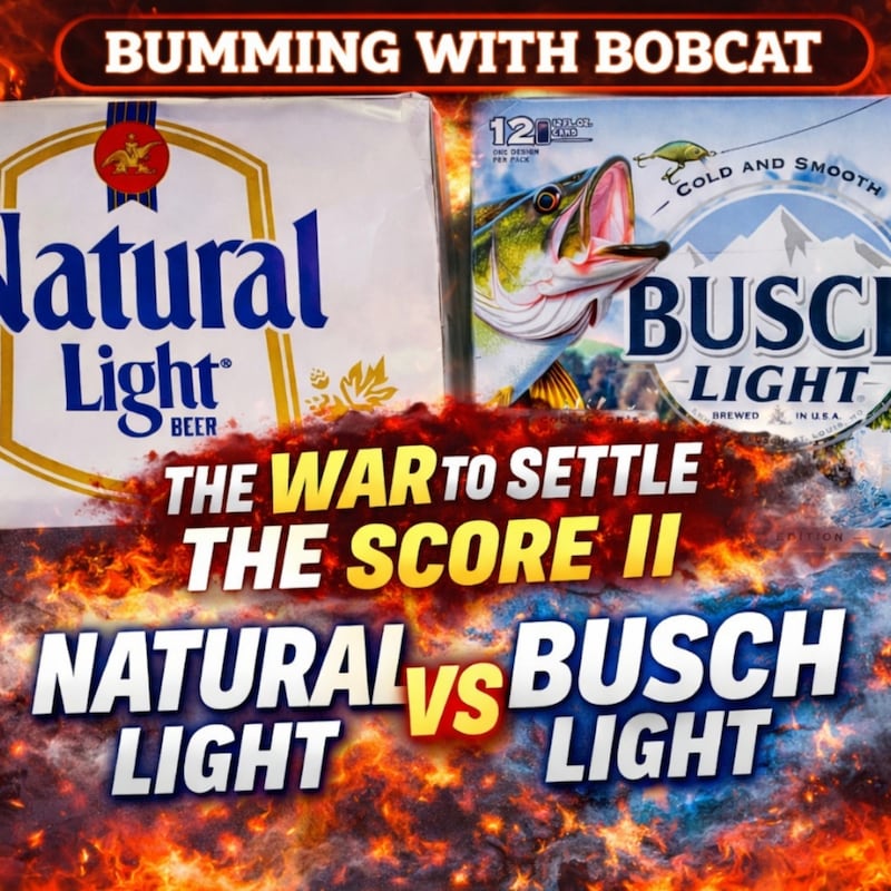 Artwork for podcast Bumming with Bobcat