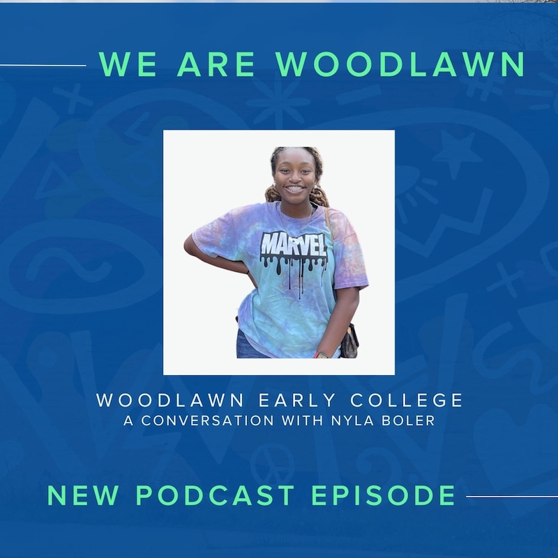 Artwork for podcast We Are Woodlawn