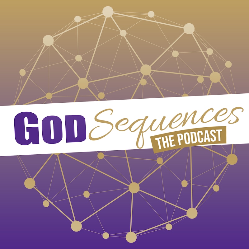 Artwork for podcast The Godsequences Podcast