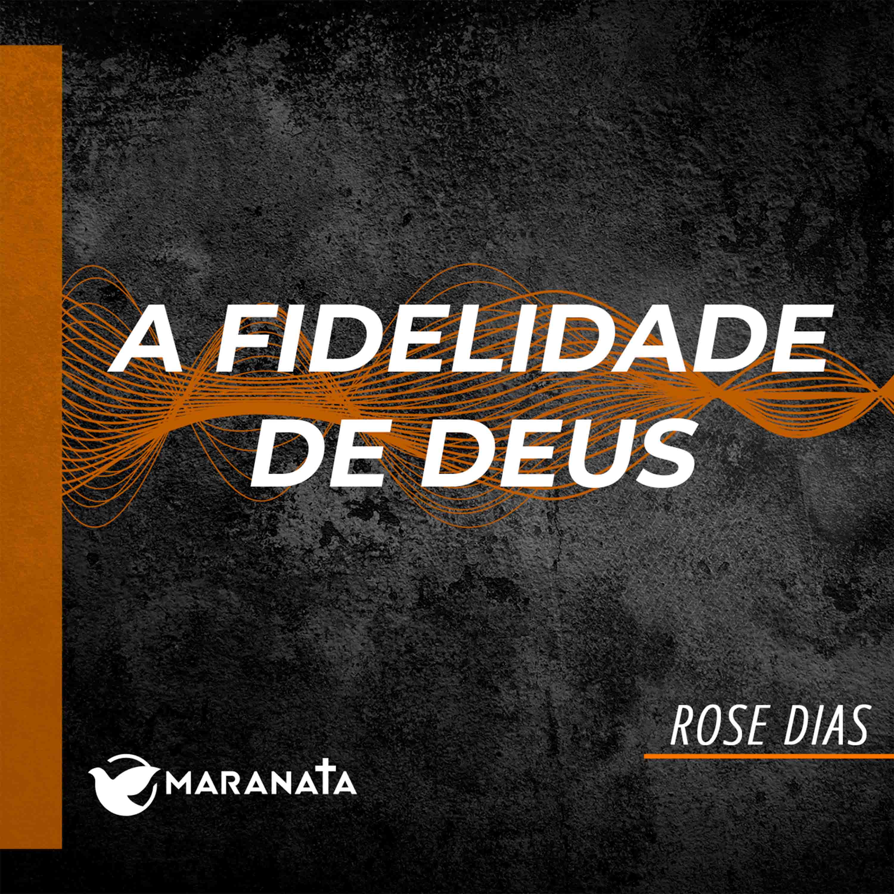A fidelidade de Deus - Rose Dias