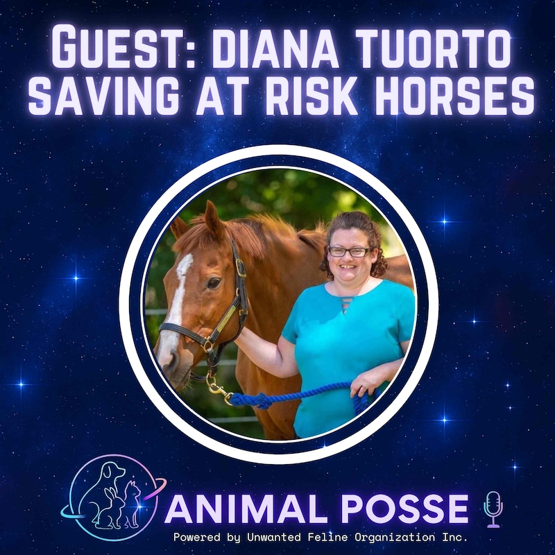 Artwork for podcast Animal Posse