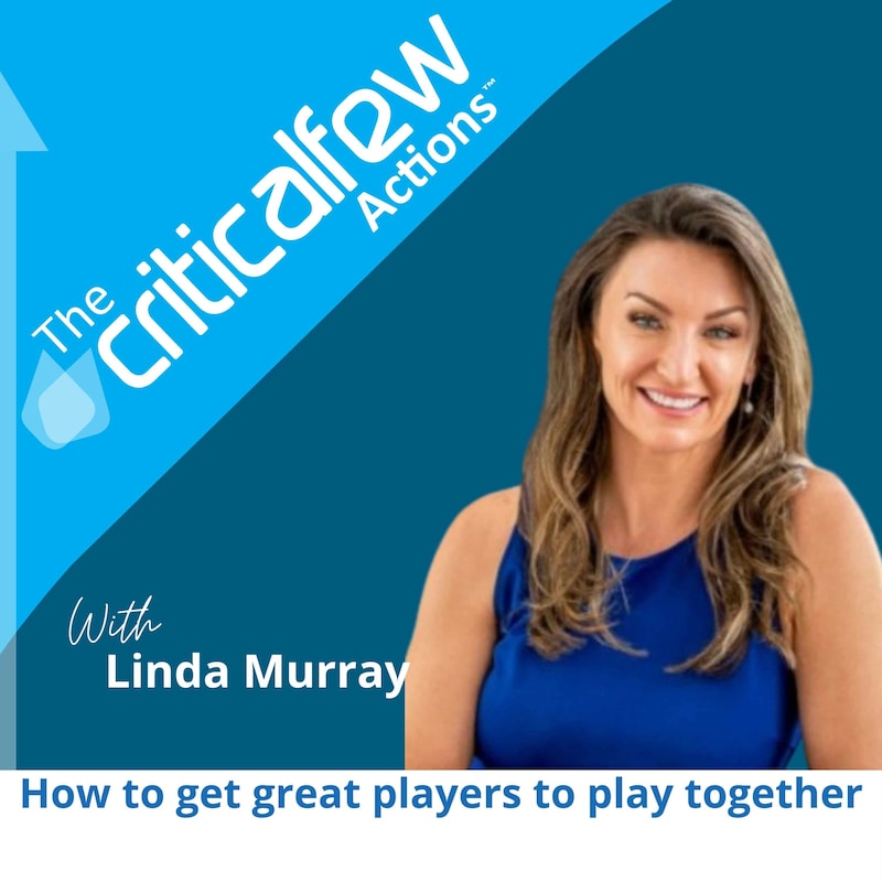 Artwork for podcast The Critical Few Actions