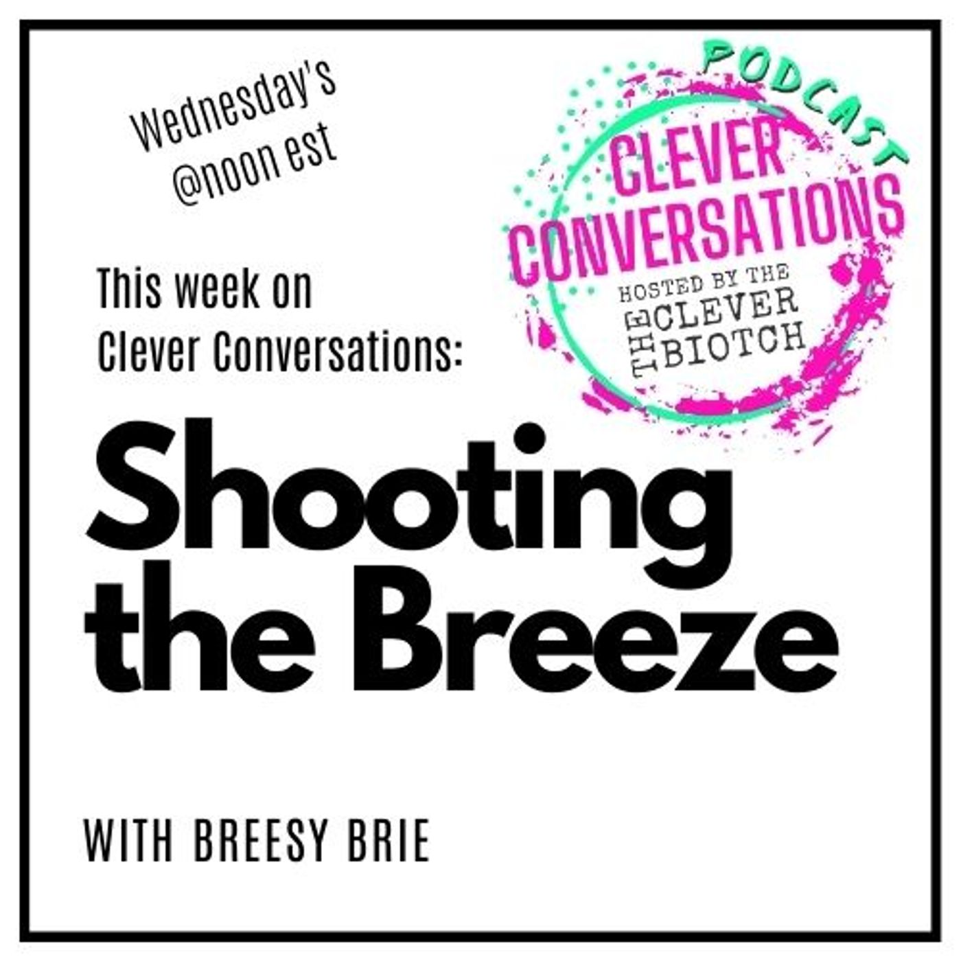 Clever Conversations Shooting the Breeze with Breesy