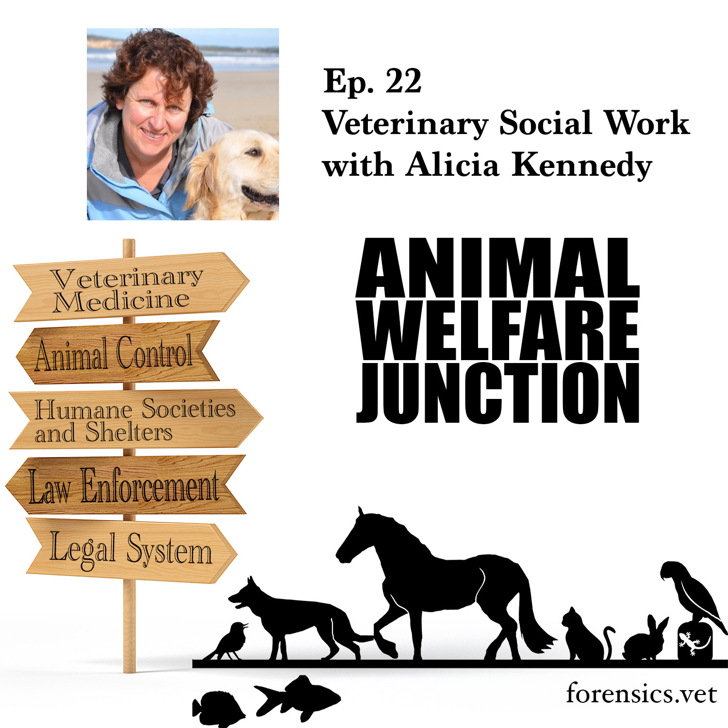 The Animal Welfare Junction