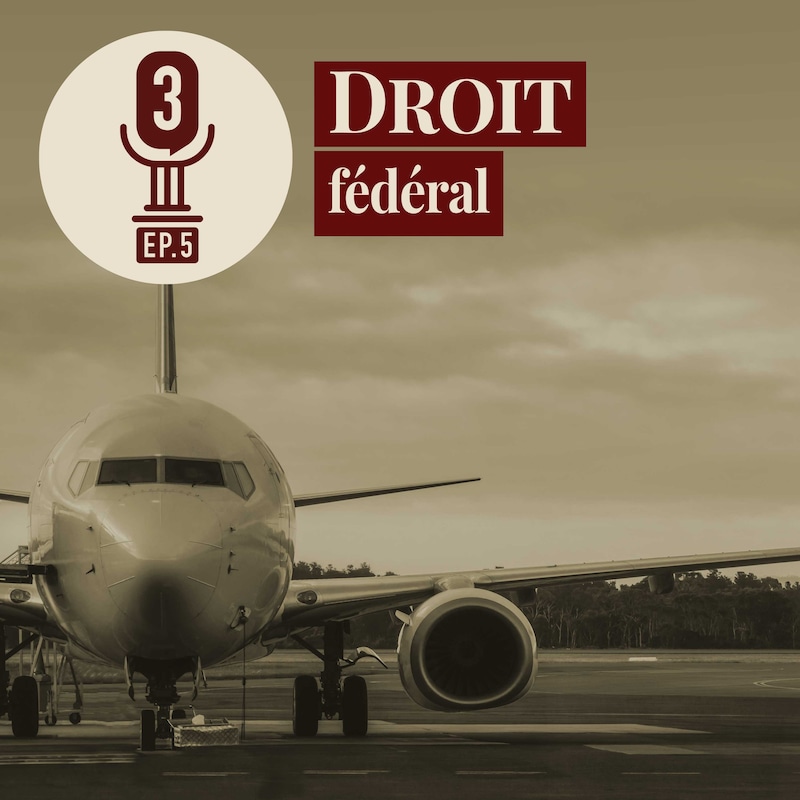 Artwork for podcast Arrêt sur le Droit