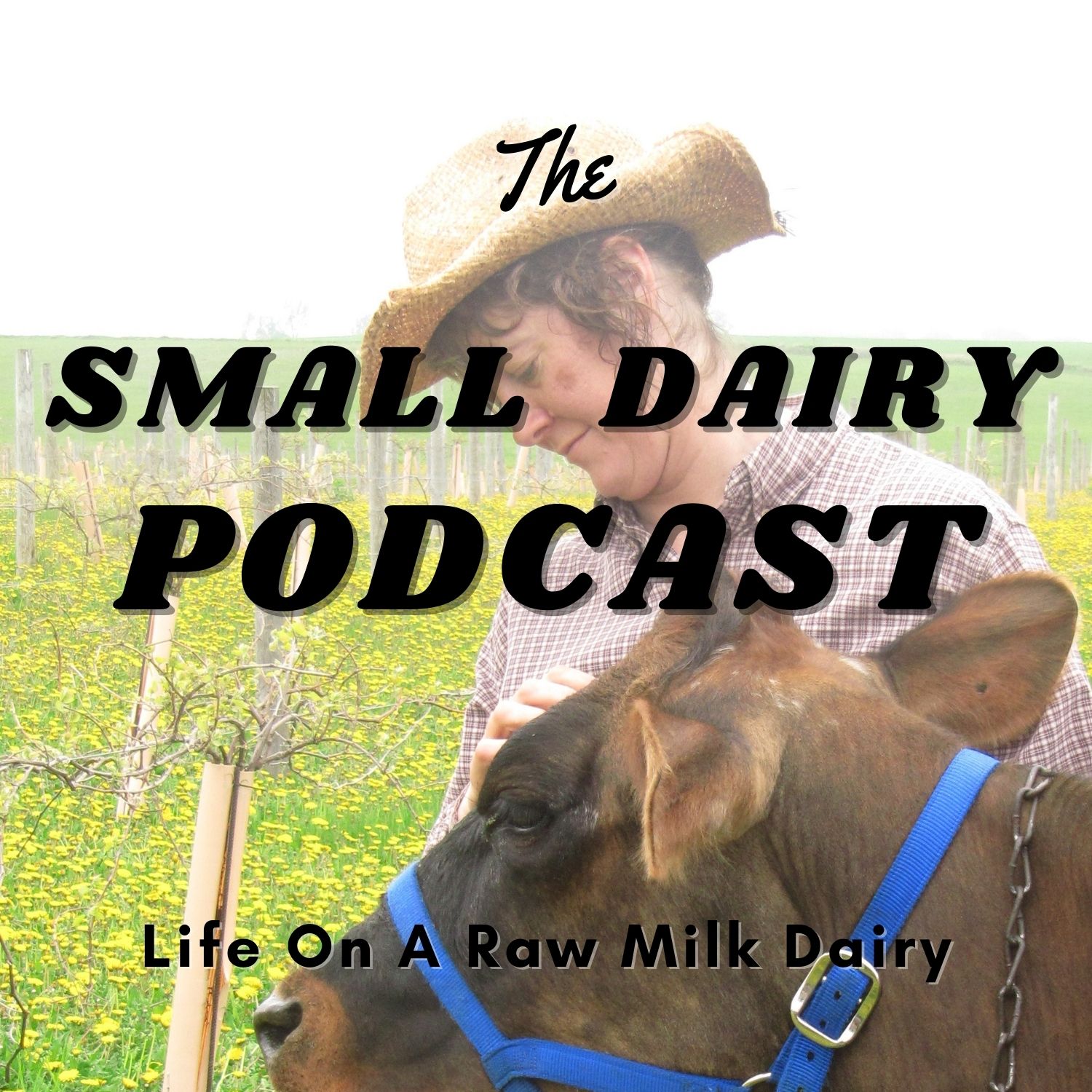 Show artwork for The Small Dairy Podcast