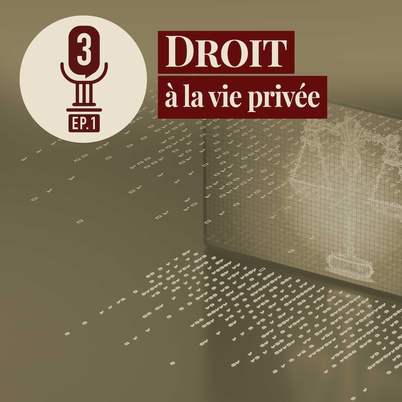 Artwork for podcast Arrêt sur le Droit
