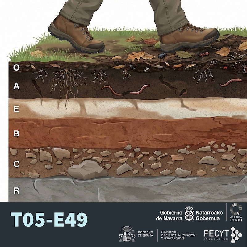 Artwork for podcast Ciencia al punto