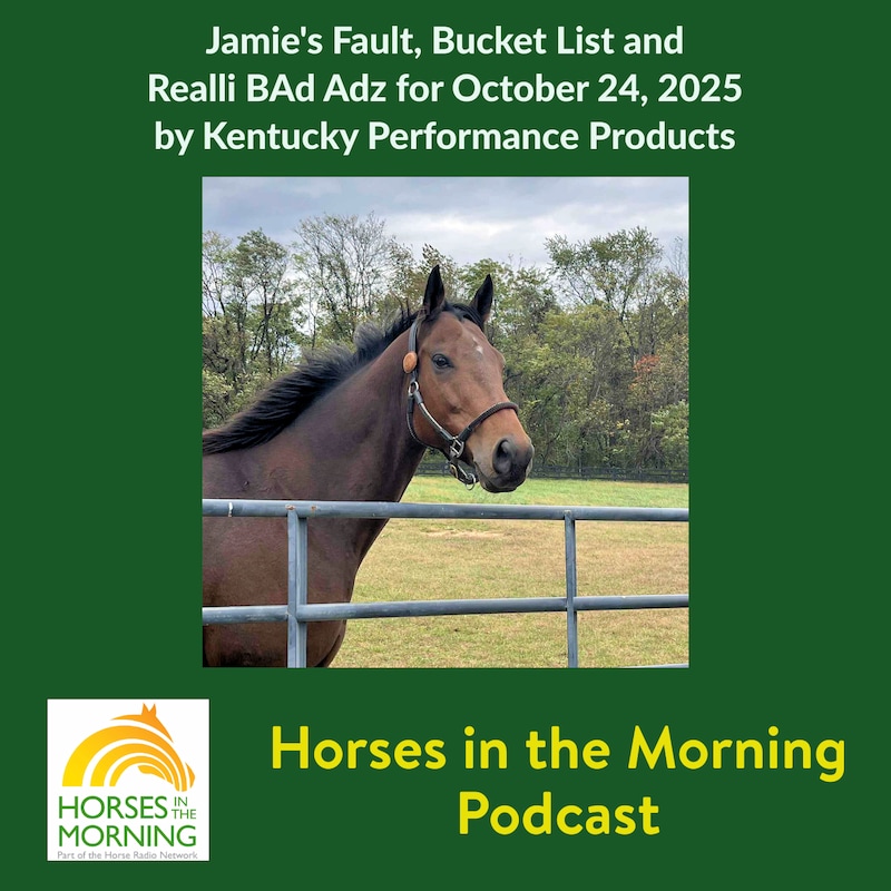 Artwork for podcast HORSES IN THE MORNING