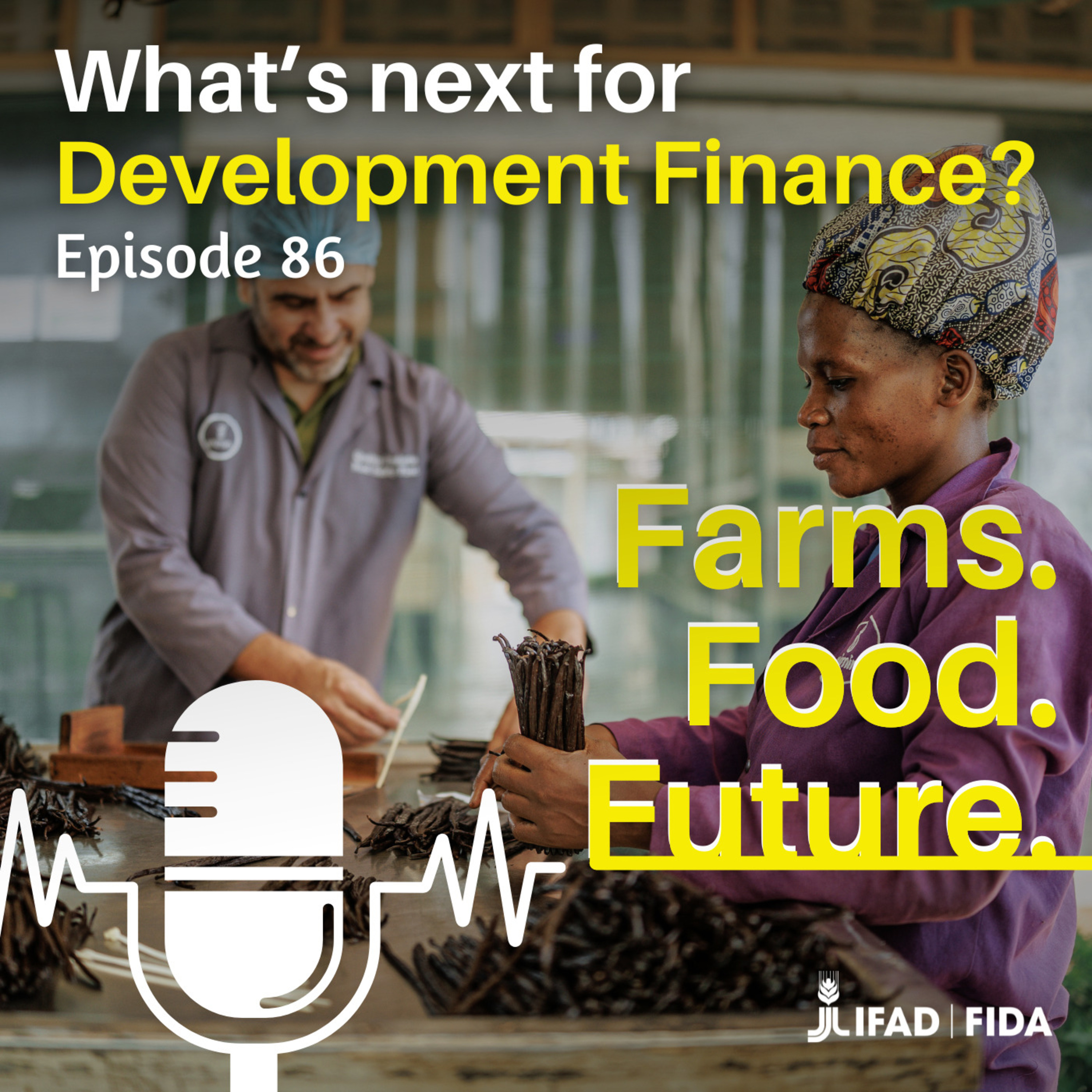 What’s next for development finance?