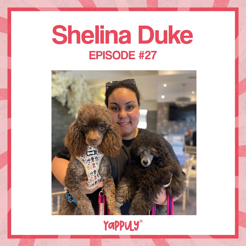 Artwork for podcast The Yappy Hour