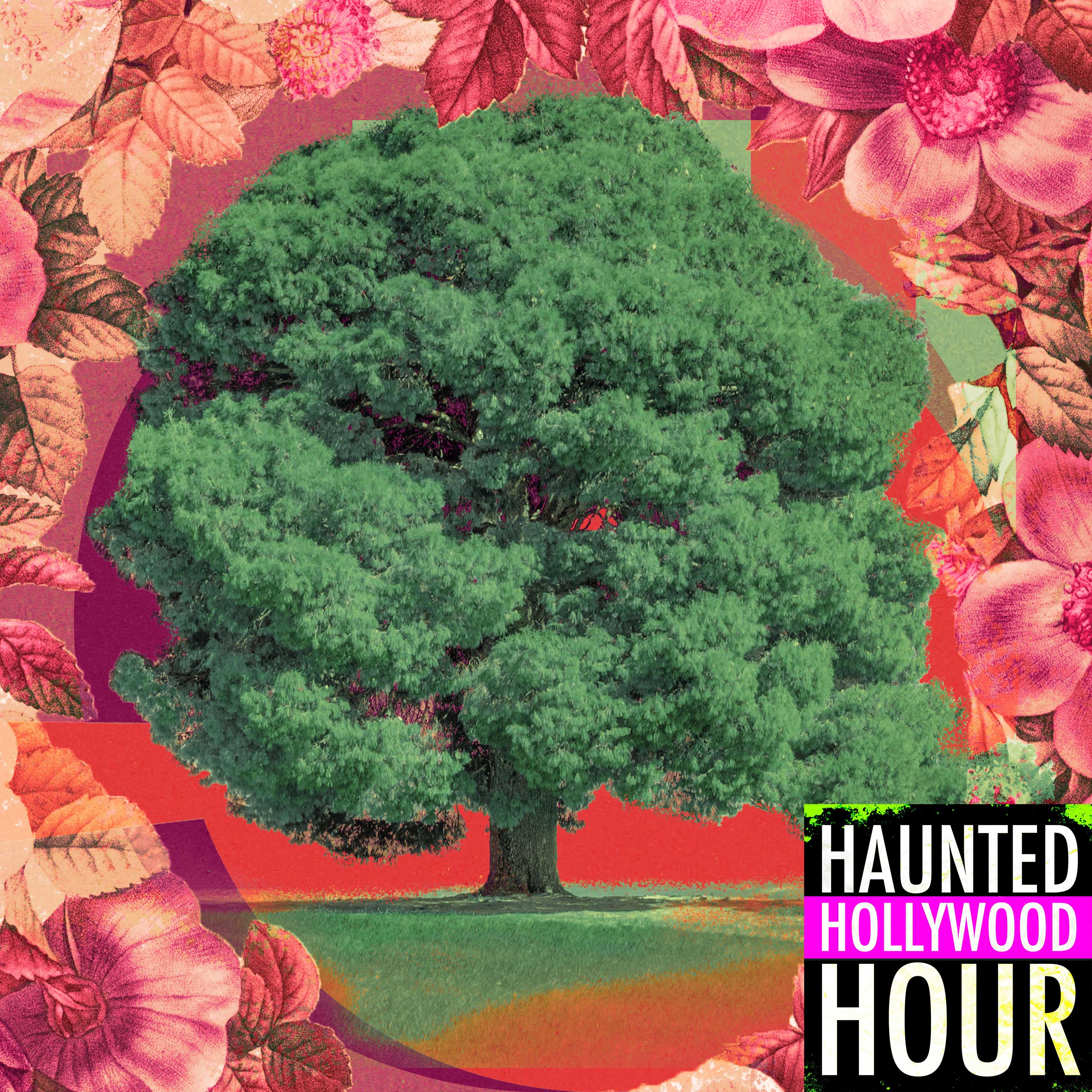 Haunted Hollywood Hour