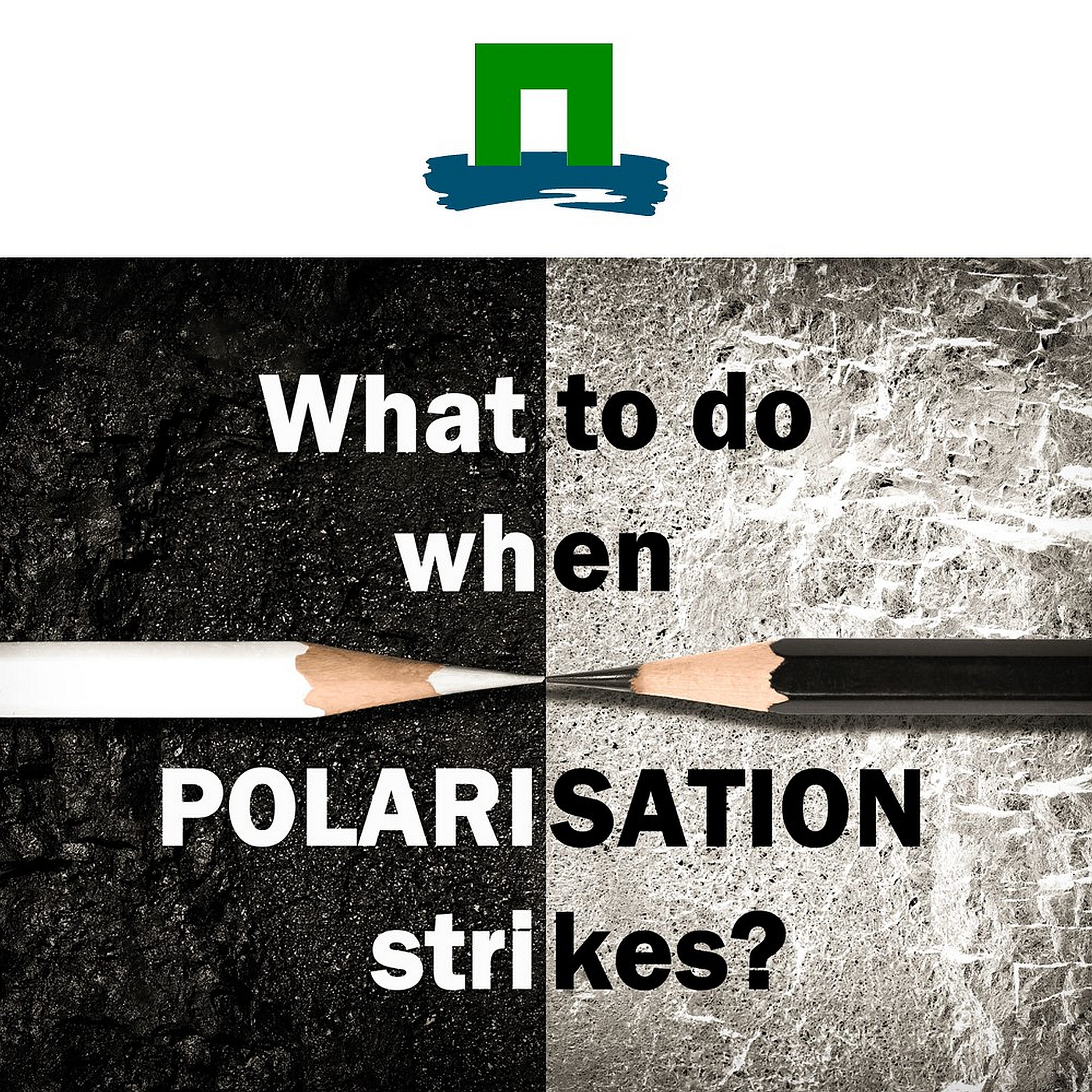 Inside Polarisation
