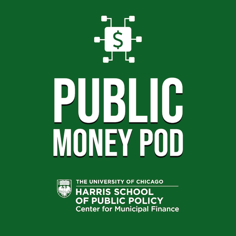 Artwork for podcast Public Money Pod
