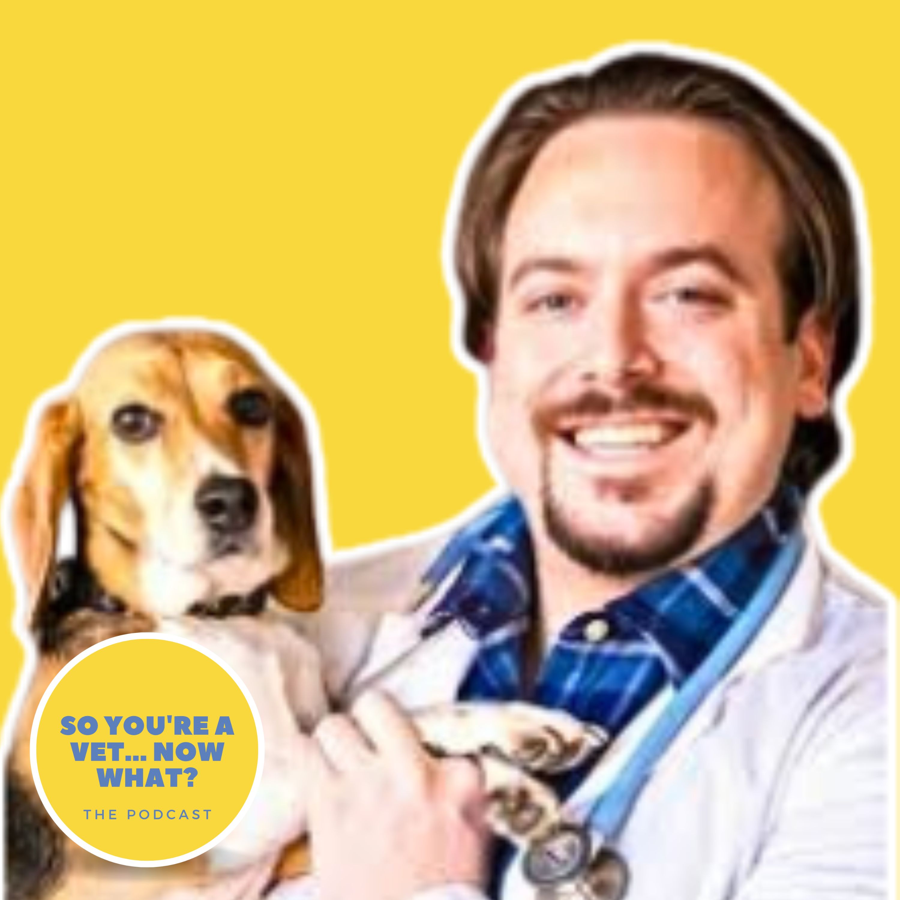 The \'So You\'re A Vet... Now What?\' Podcast