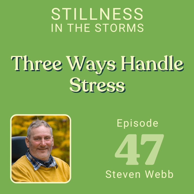 Artwork for podcast Stillness in the Storms