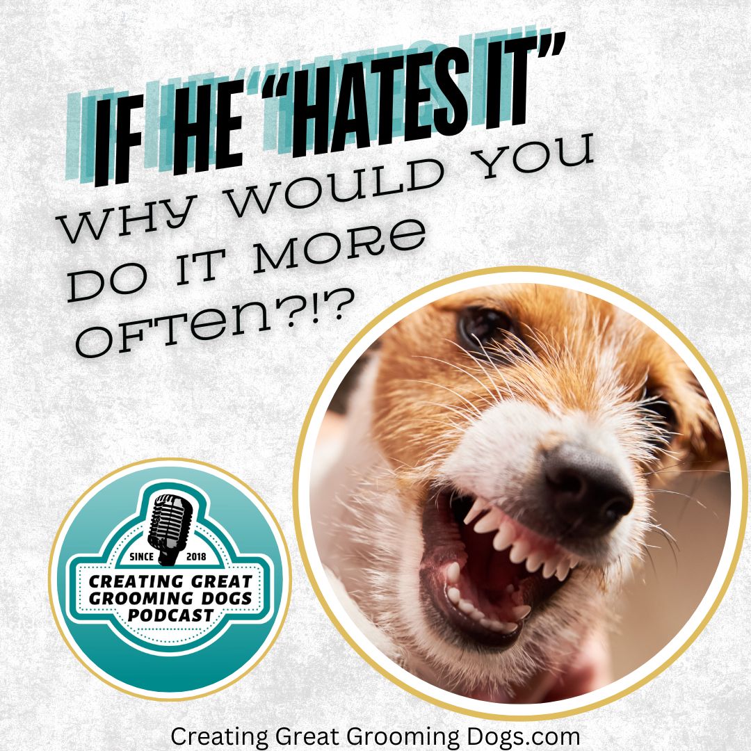 Creating Great Grooming Dogs