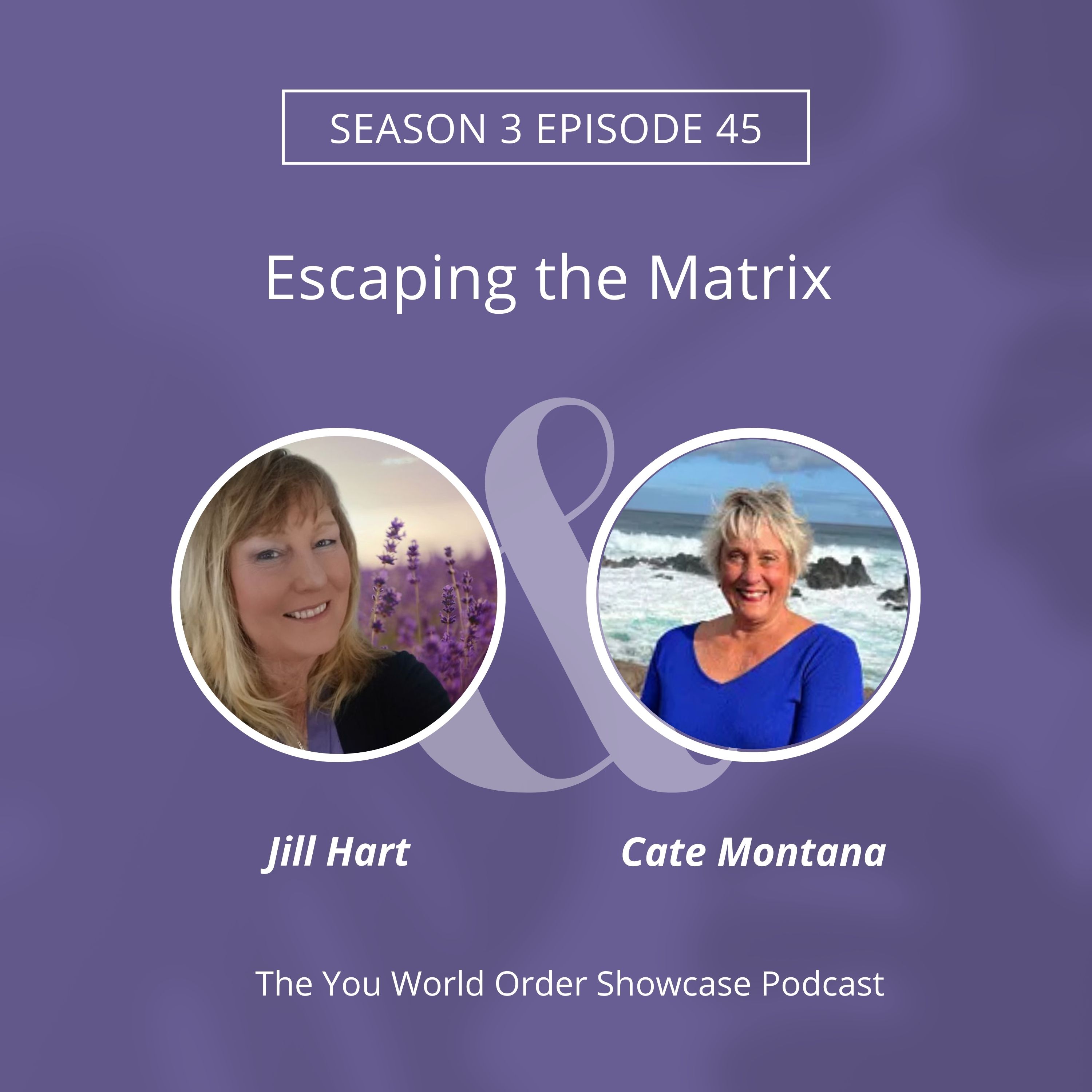 Cracking the Matrix: Breaking Free from Hidden Forces That Feed on Fear