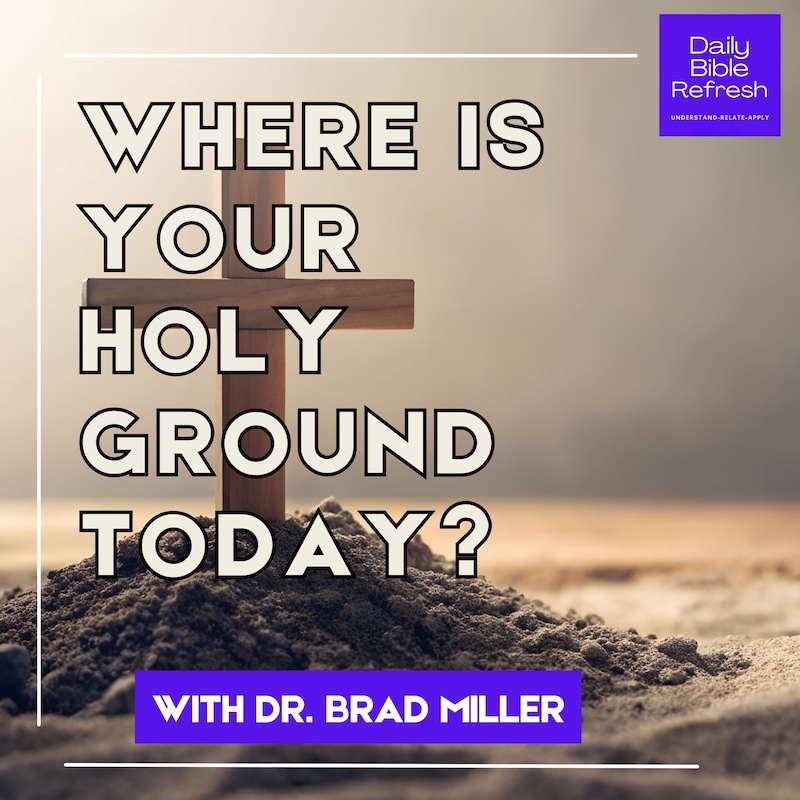 Artwork for podcast Daily Bible Refresh