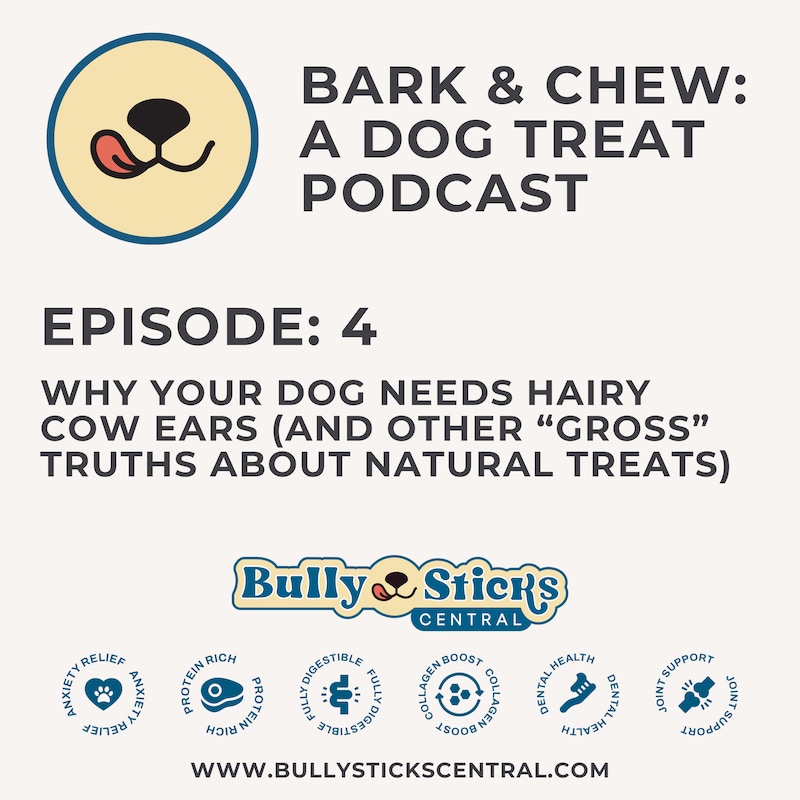 Artwork for podcast Bark & Chew: A Dog Treat Podcast