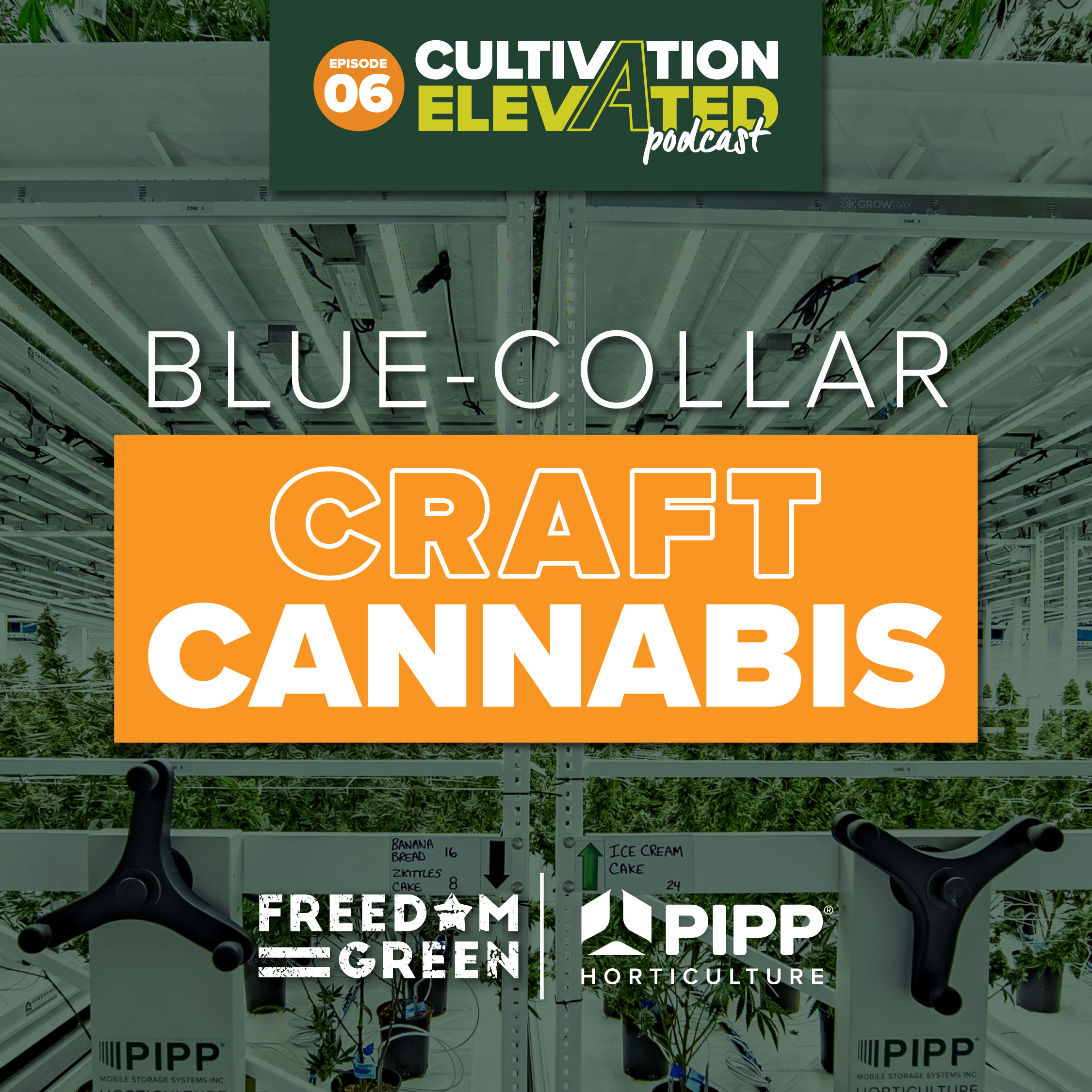 Cultivation Elevated - Indoor Farming, Cannabis Growers & Cultivators - Pipp Horticulture