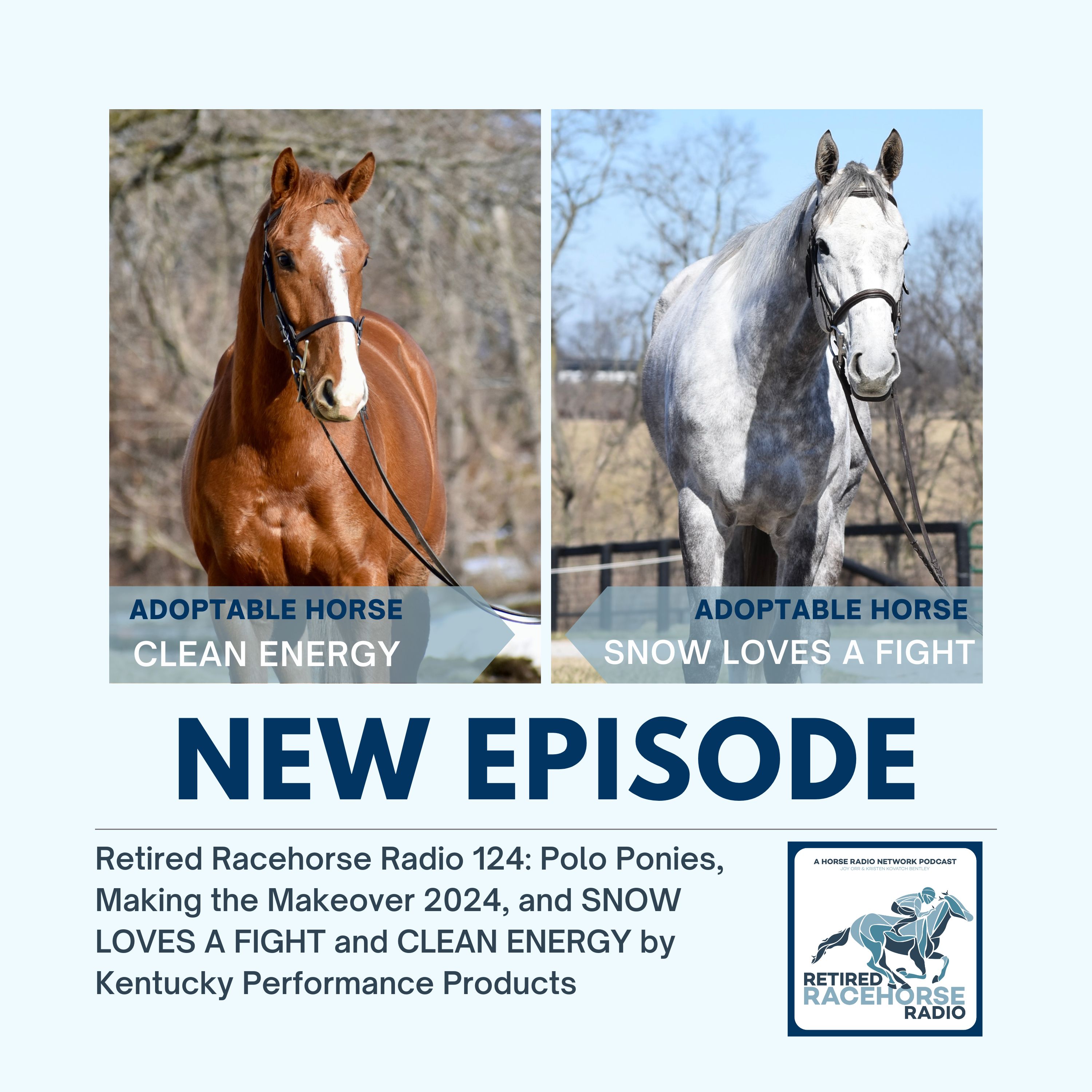 Polo Ponies, Making the Makeover 2024, and SNOW LOVES A FIGHT and CLEAN ENERGY by Kentucky Performance Products